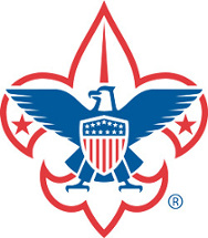 the BSA logo